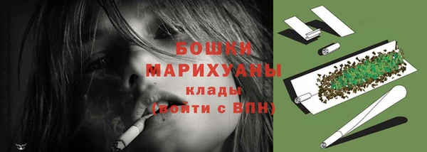дурь Арсеньев