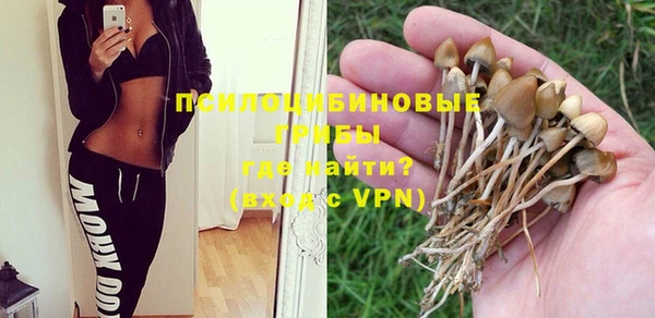 2c-b Баксан
